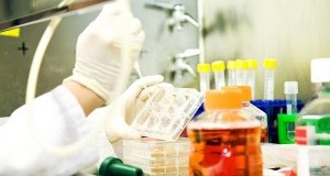 Metodi Alternativi: primi passi in Italia per i test in vitro senza animali, grazie a UNIGE