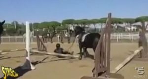 Cavallo frustato durante una lezione di salto a ostacoli. Li denunceremo!