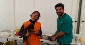 Completato il 2° campo di aiuto agli animali del terremoto
