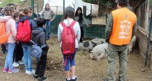 Gli studenti incontrano gli animali con LAV e VITADACANI
