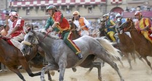 Palio Siena a processo. Udienza preliminare per 4 imputati. LAV parte offesa