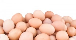 Uova al Fipronil in Italia: indagine debole come Piano Nazionale Residui