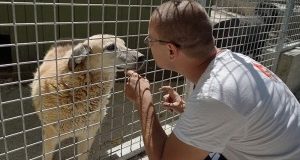 Un anno dopo Amatrice. Verso la Protezione civile per gli animali