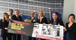 #STOPTHETRUCKS Trasporto animali di nuovo in agenda della Commissione UE