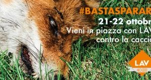 “Troppo violenta” Milano censura campagna caccia. Sindaco Sala stia con noi!