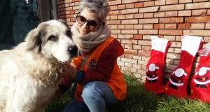 Befana e volontari LAV in aiuto degli animali terremotati del Centro Italia
