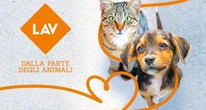 Gli animali non sono un lusso: saremo in piazza il 10-11 e 17-18 marzo