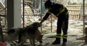 Piano Vesuvio, Associazioni a Regione Campania: no eutanasia animali familiari in zona rossa