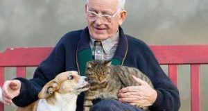 “Una vecchia amicizia”: campagna adozione per i cani di Campi Bisenzio