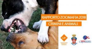 Rapporto Zoomafia 2018: in aumento le denunce, una ogni 55 minuti