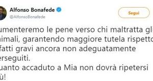 Ministro della Giustizia annuncia aumento pene e nuovi reati contro animali