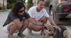 “Progetto Isola” non va in vacanza: le nuove attività per i cani di Lampedusa