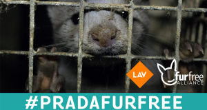 Prada, è ora di passare al fur-free!