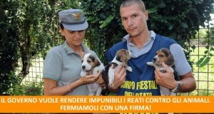 Giustizia: retromarcia di Renzi su depenalizzazione dei reati contro gli animali