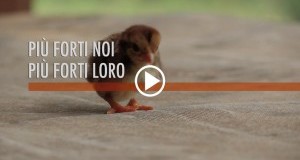 Guarda in anteprima il video. “Più Forti Noi, Più Forti Loro”