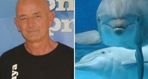 Delfini, ex-addestratore Lopez: «I delfinari sono prigioni!»