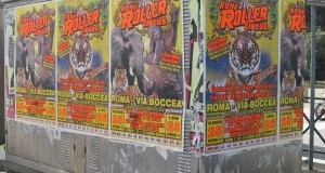 Circo: esposto LAV contro il Rony Roller per affissione abusiva manifesti