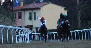 Palio di Buti: morto ennesimo cavallo. Pretendiamo autopsia e inchiesta