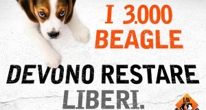 #IOSTOCONIBEAGLE il 23 febbraio torniamo in Aula per Green Hill