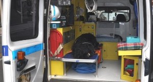 Non si blocchino le autoambulanze veterinarie!