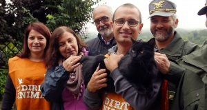 La storia a lieto fine del gatto Dada, salvo dopo il terremoto