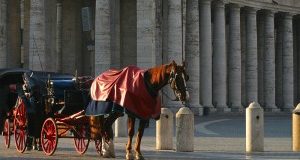 Botticelle LAV a Giunta  Roma: a quando l’abolizione?